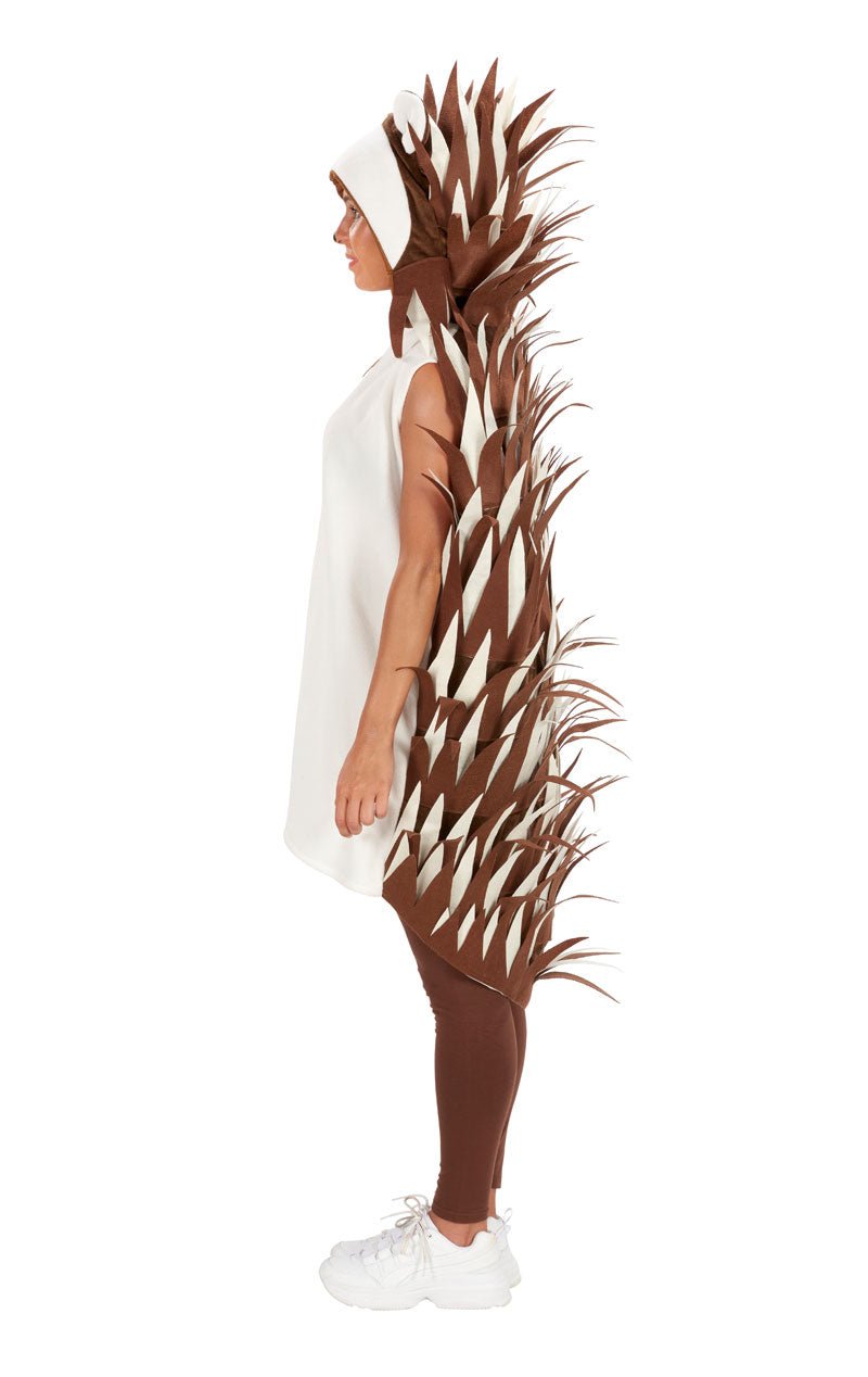 Adult Unisex Hedgehog Costume - Joke.co.uk