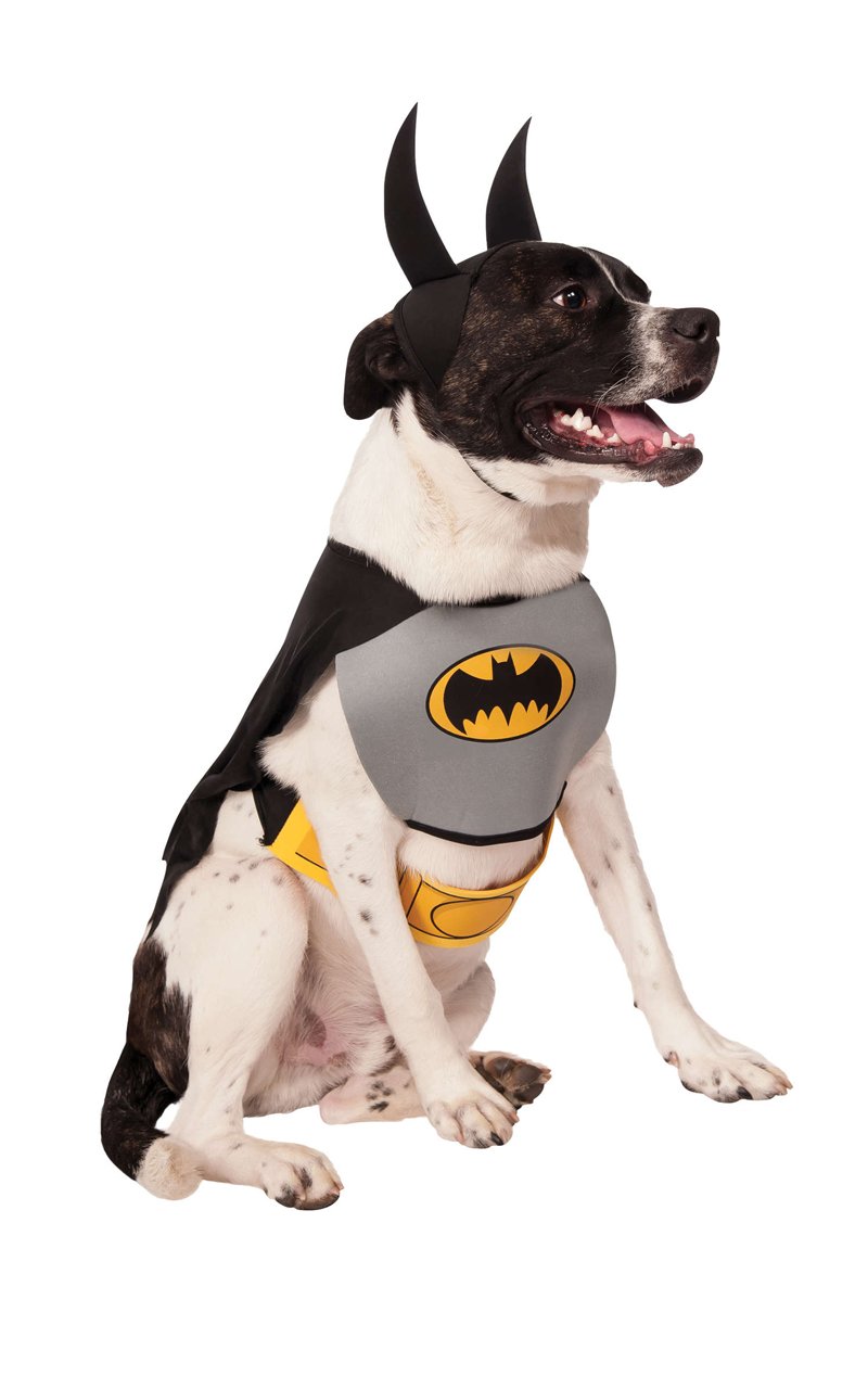 Batman Dog Costume - Joke.co.uk
