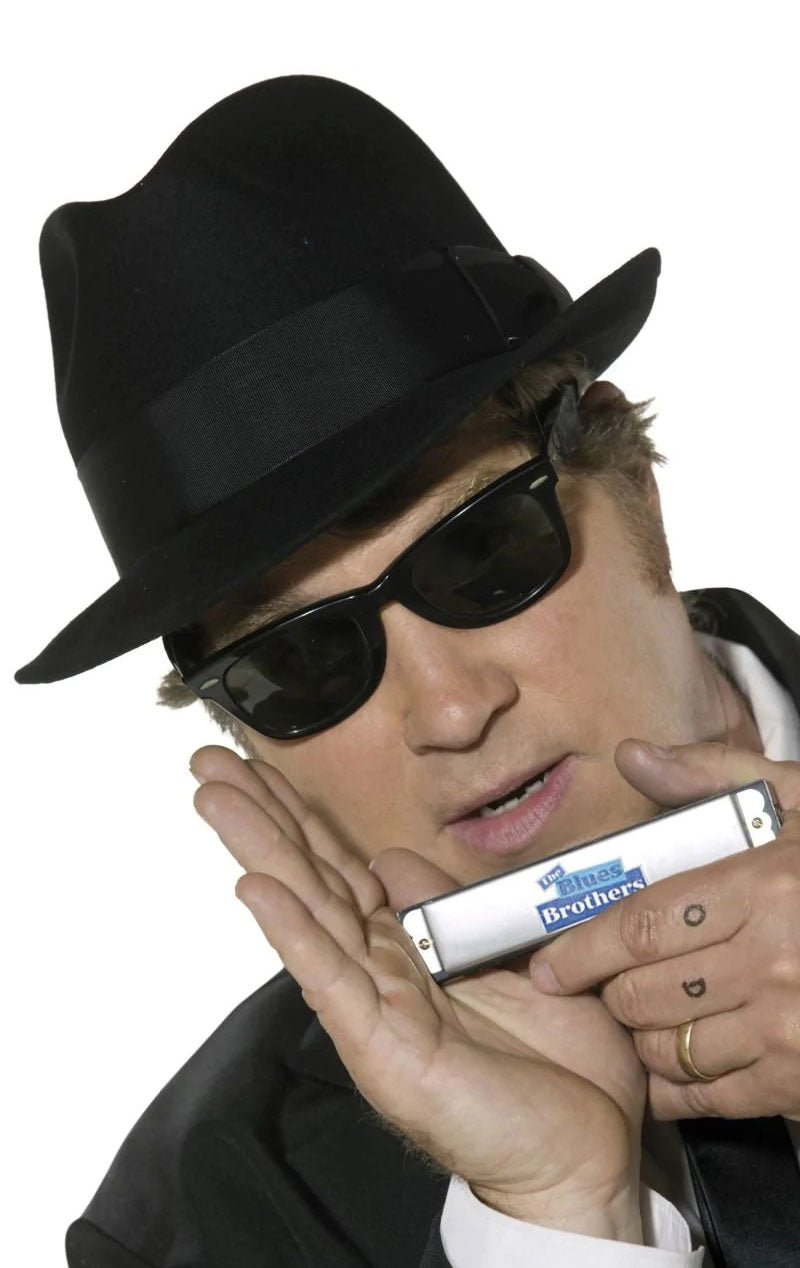 Blues Brothers Accessory Kit - Joke.co.uk