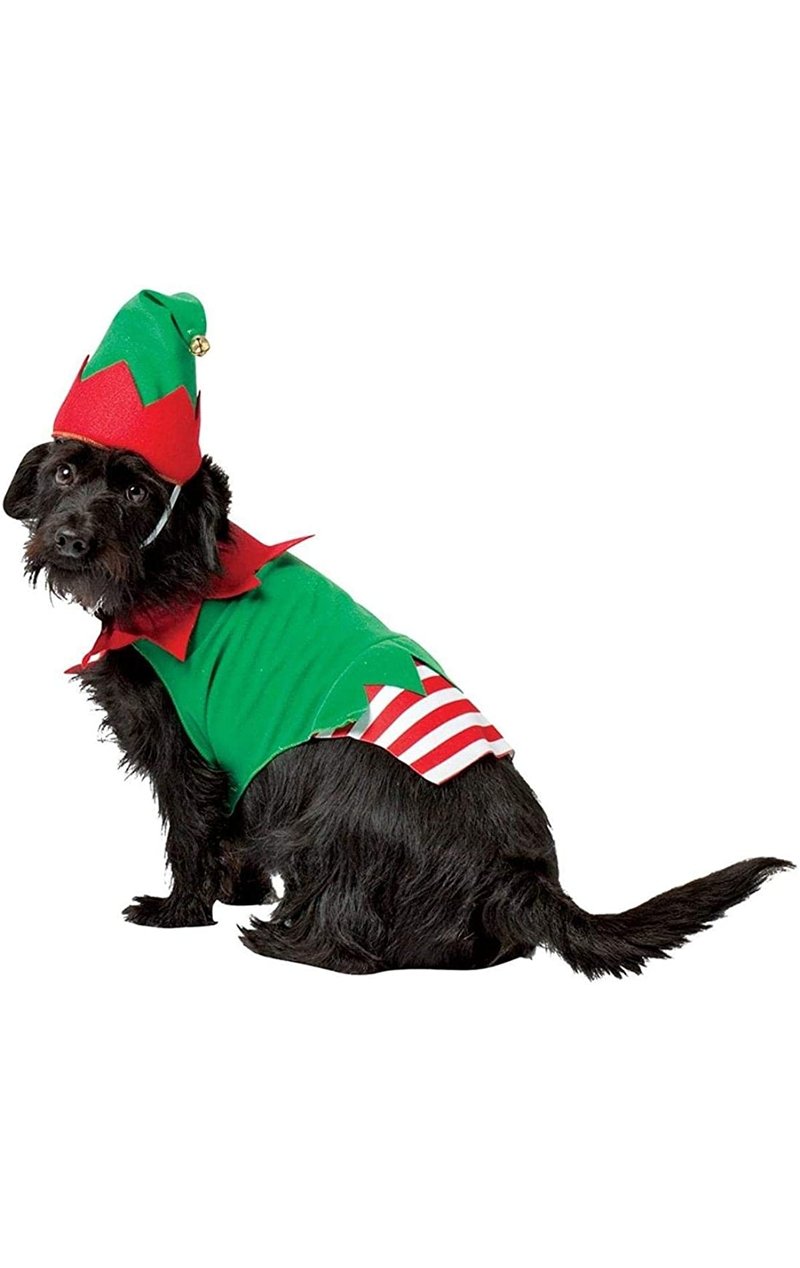 Elf Dog Costume - Joke.co.uk