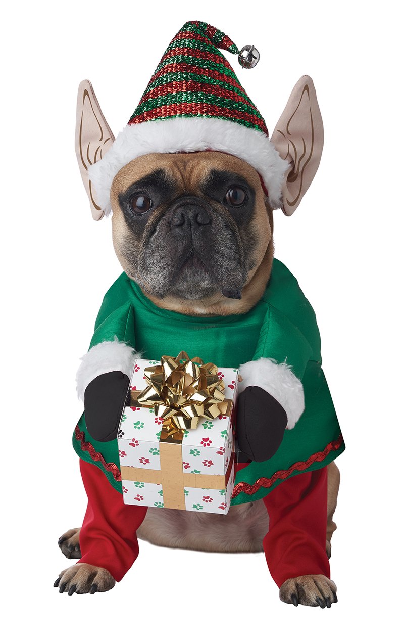 Santa's Little Yelper Dog Costume - Joke.co.uk