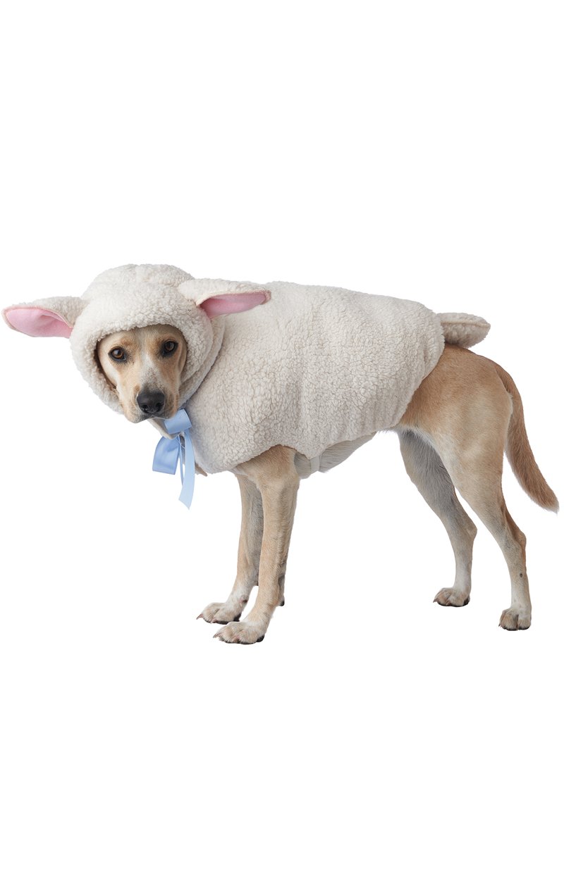 Sheep Dog Costume - Joke.co.uk