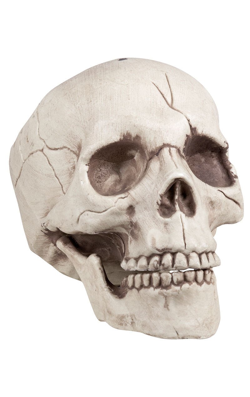 Skull Jawbone with Movable Jaw Accessory - Joke.co.uk