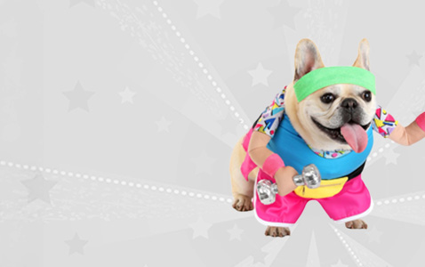 Pet Costumes